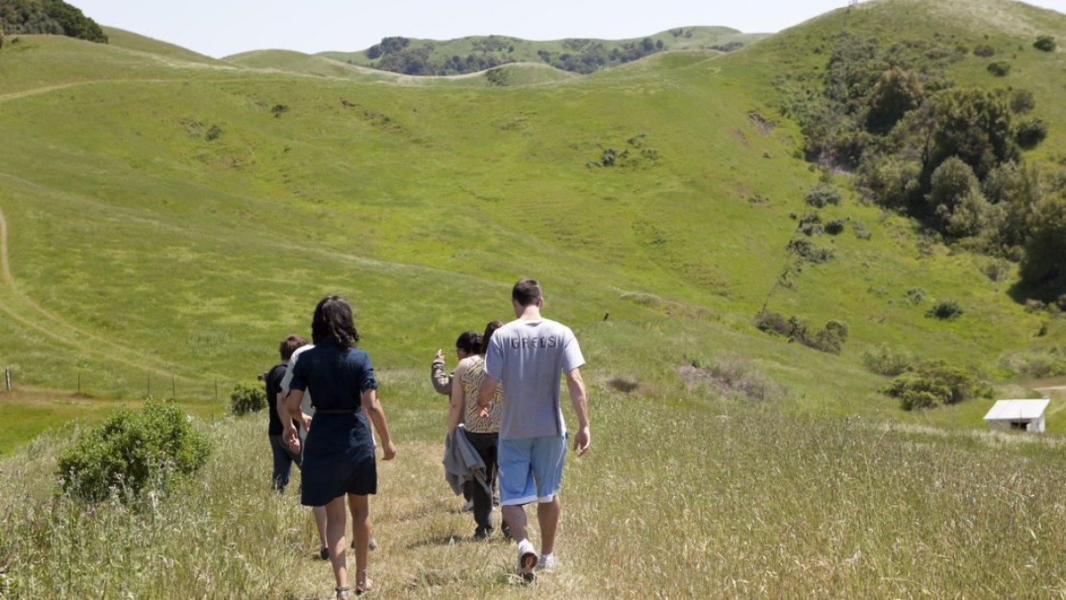 People taking a walk in green hills